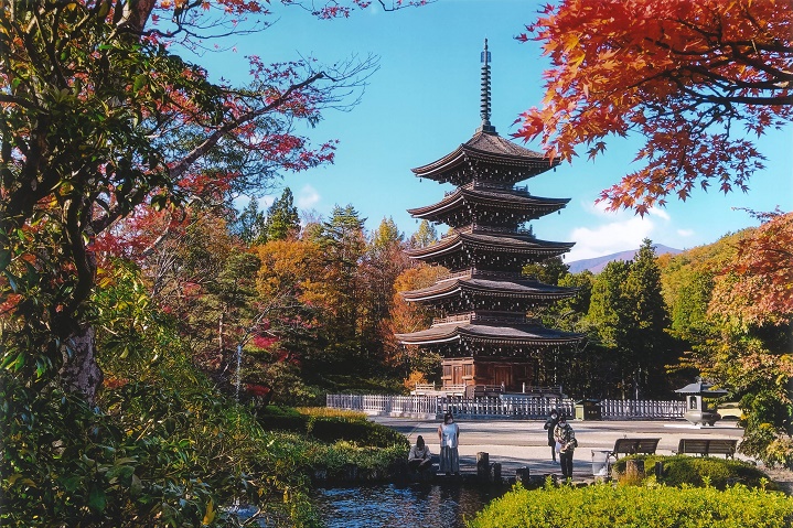 池を手前に左右に色づいた木々。後ろの中央に五重塔が写る見事な構図の織田さんの作品